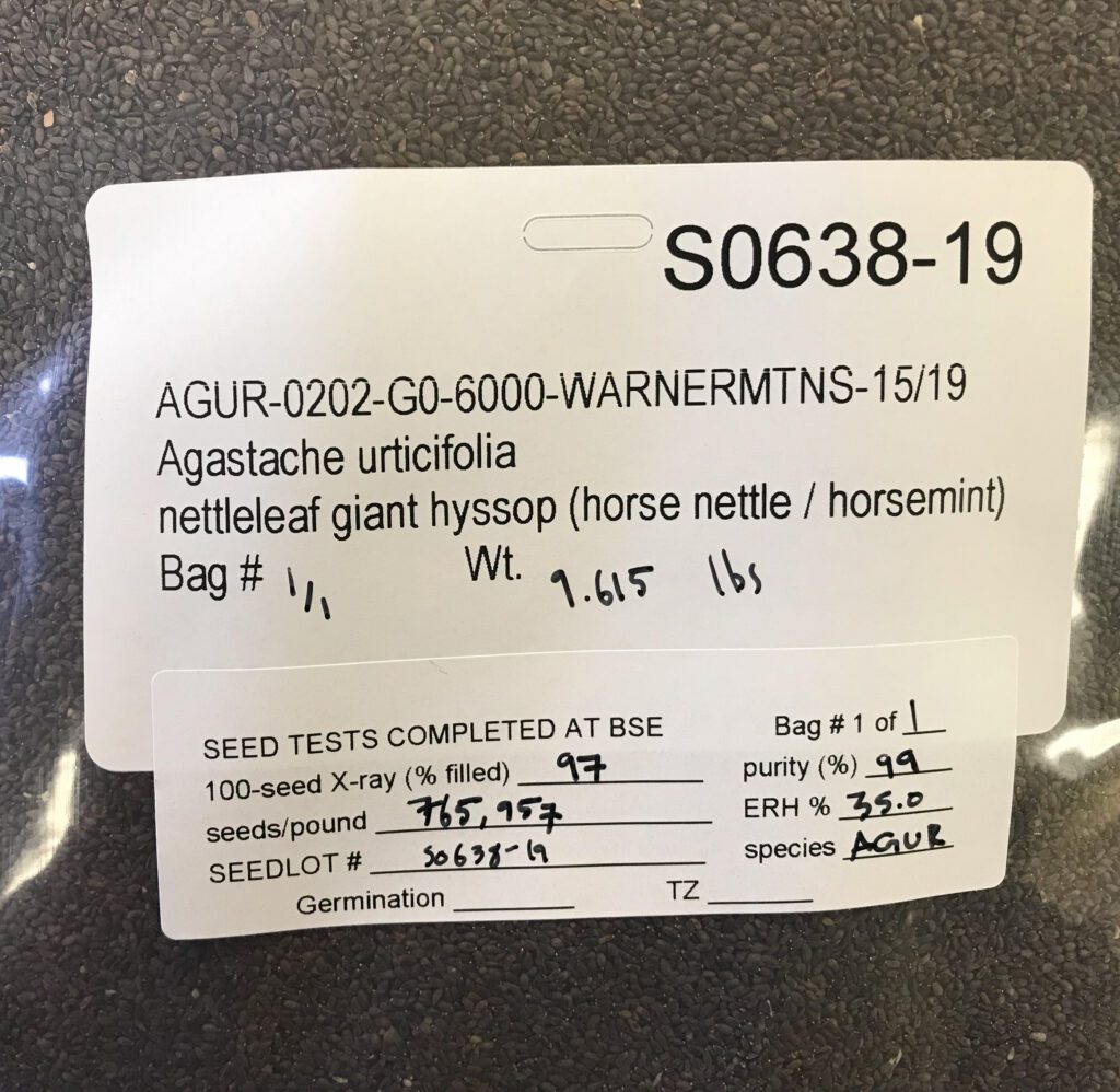 A plastic bag filled with clean nettleleaf giant hyssop seed. Bag is labeled with species name, collection location, 9.615 lbs, 97% filled, 99% pure, 765,957 seeds/lb.