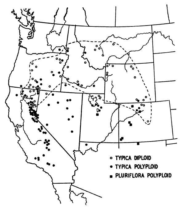 Map showing the western US distirbution of tapertip hawksbeard ploidy types. Sexual diploids are most widely distributed and occur at more northern locations than the apomictic polyploid types.
