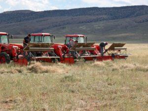 Three tractors with combine-type attachments on front.