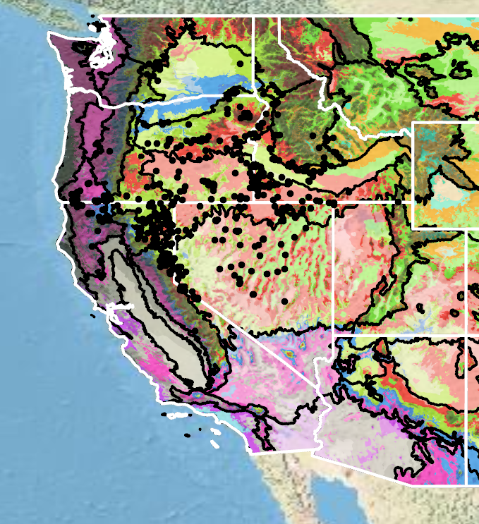 Map with general distribution of scabland fleabane being primarily OR, CA, NV, and ID.